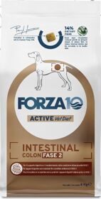 FORZA10 Active VETdiet Dog INTESTINAL COLON Fase-2 FISH вет.диета для собак всех пород для профилактики колитов, экзокринной недостаточности поджелудочн. железы РЫБА / Стадия-2 ИНТЕСТИНАЛ КОЛОН (4 кг)